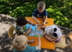 img 3